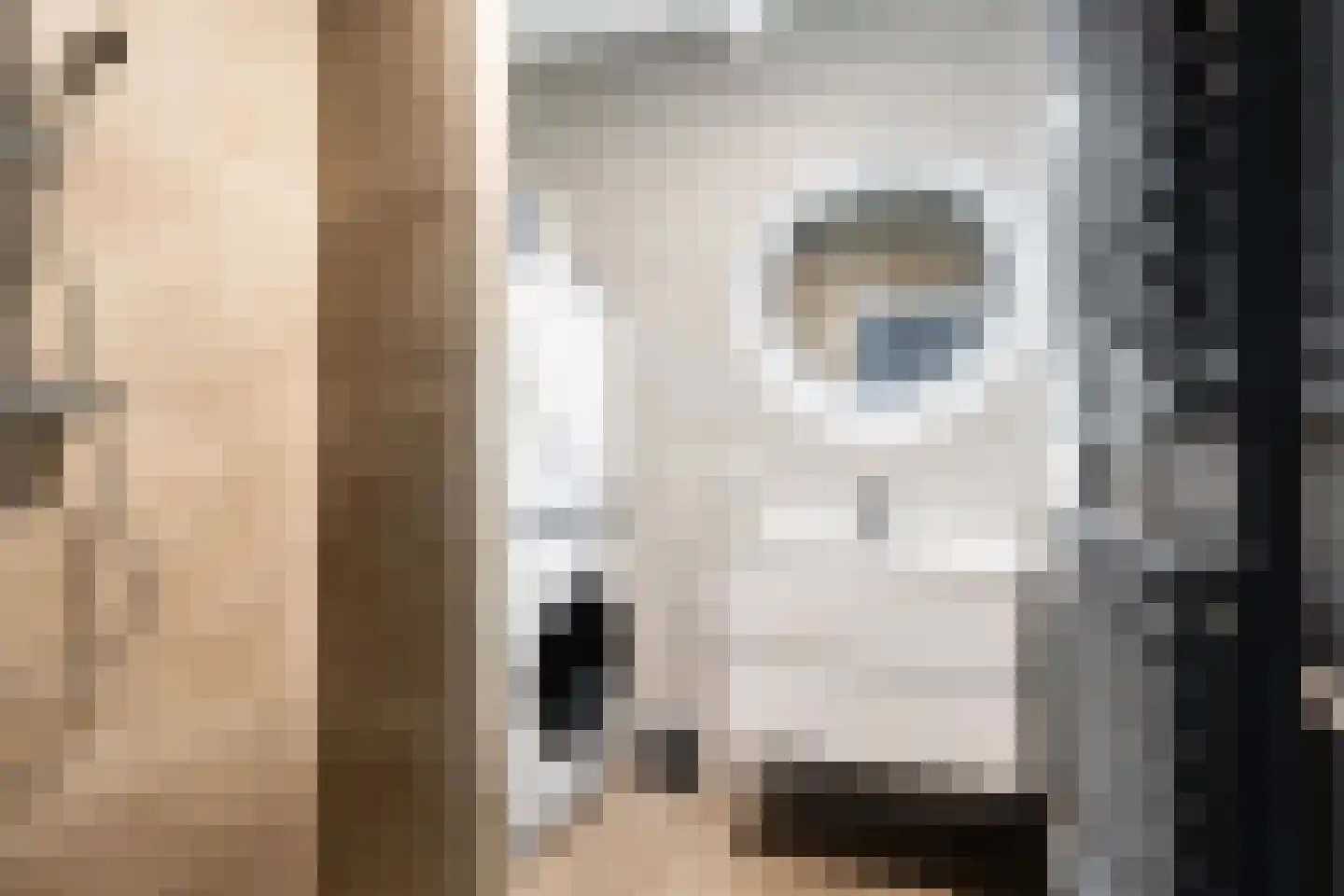 Arnoldus Stramroodlaan 15 Zeist thumbnail 4