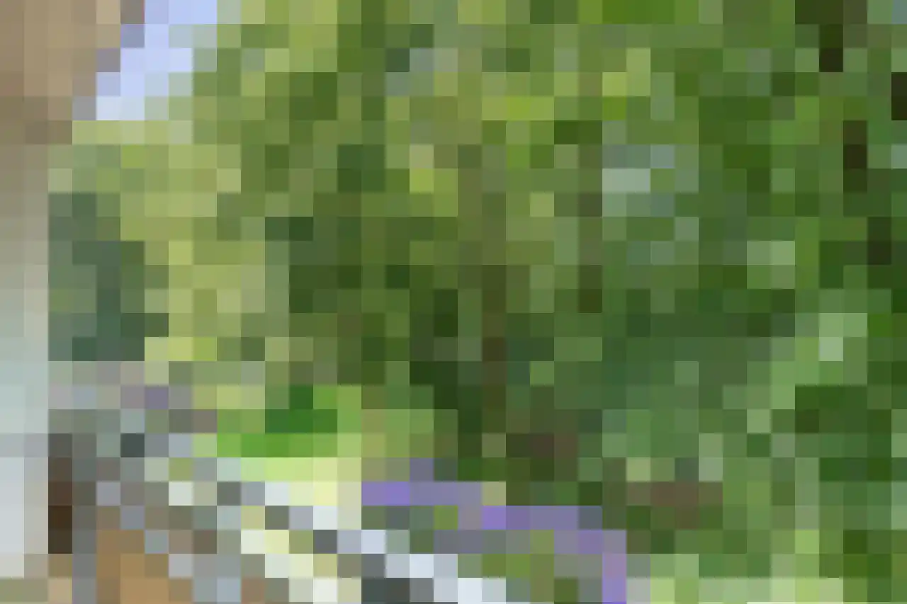 Arnoldus Stramroodlaan 15 Zeist thumbnail 8