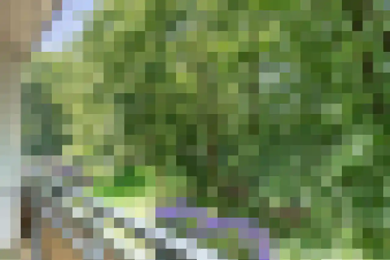 Arnoldus Stramroodlaan 15 Zeist thumbnail 8