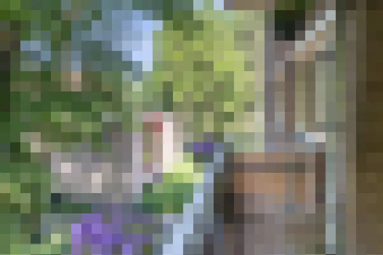 Arnoldus Stramroodlaan 15 Zeist thumbnail 9