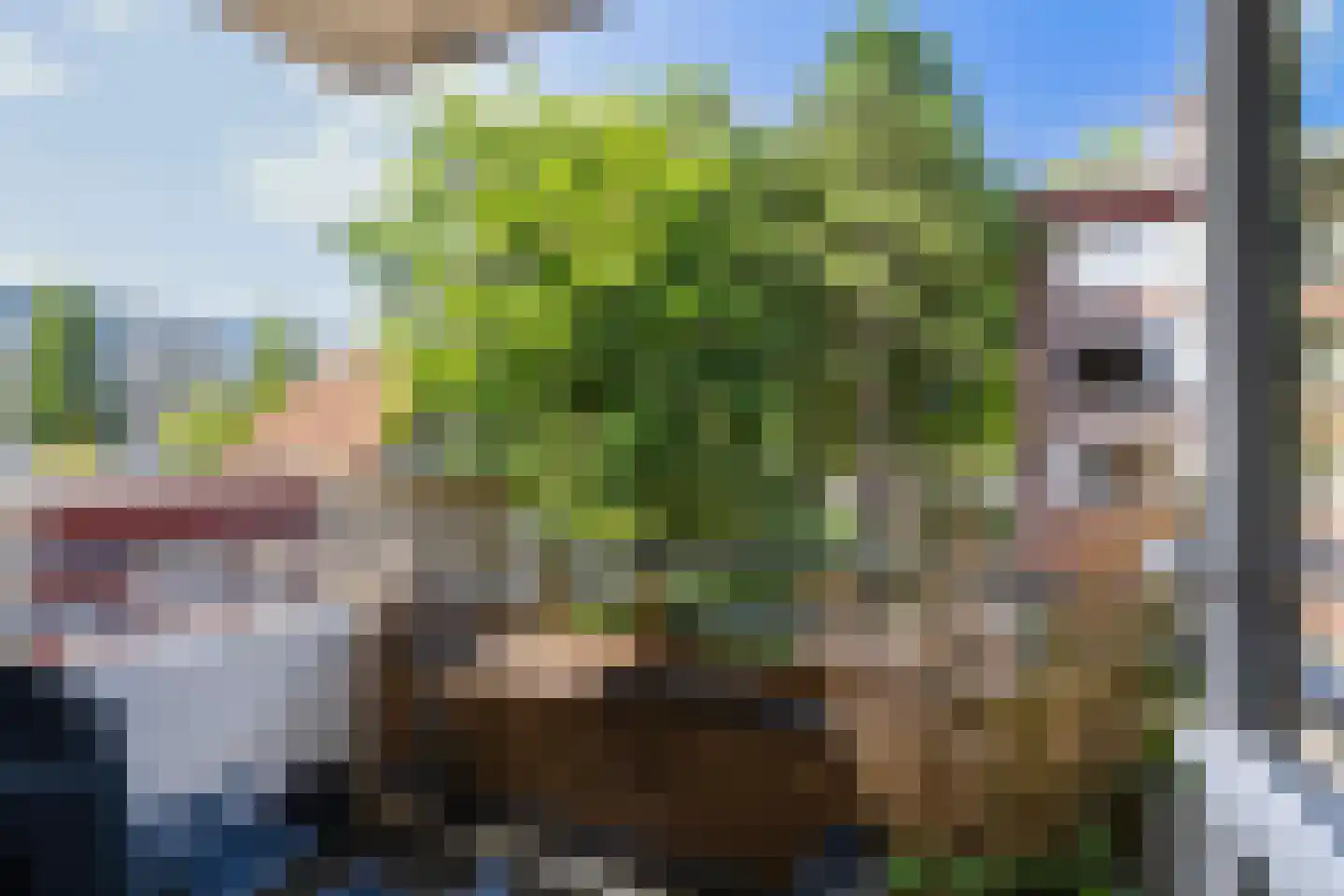 Arnoldus Stramroodlaan 15 Zeist thumbnail 9