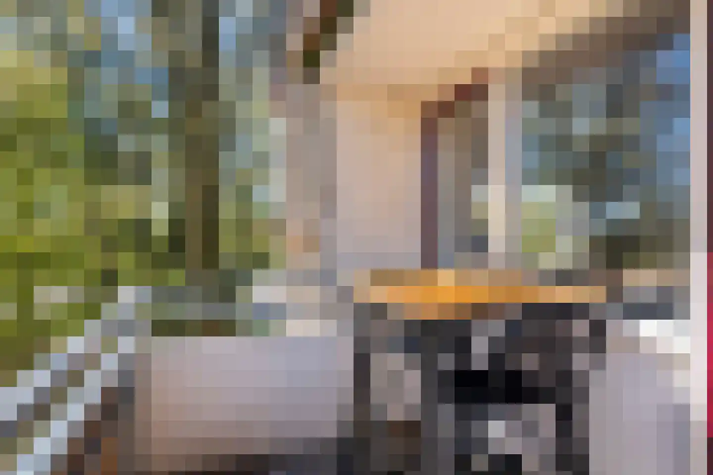 Arnoldus Stramroodlaan 17 Zeist thumbnail 15