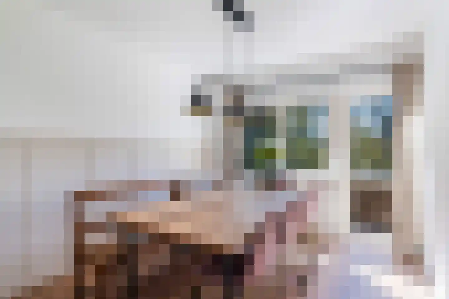 Arnoldus Stramroodlaan 17 Zeist thumbnail 16
