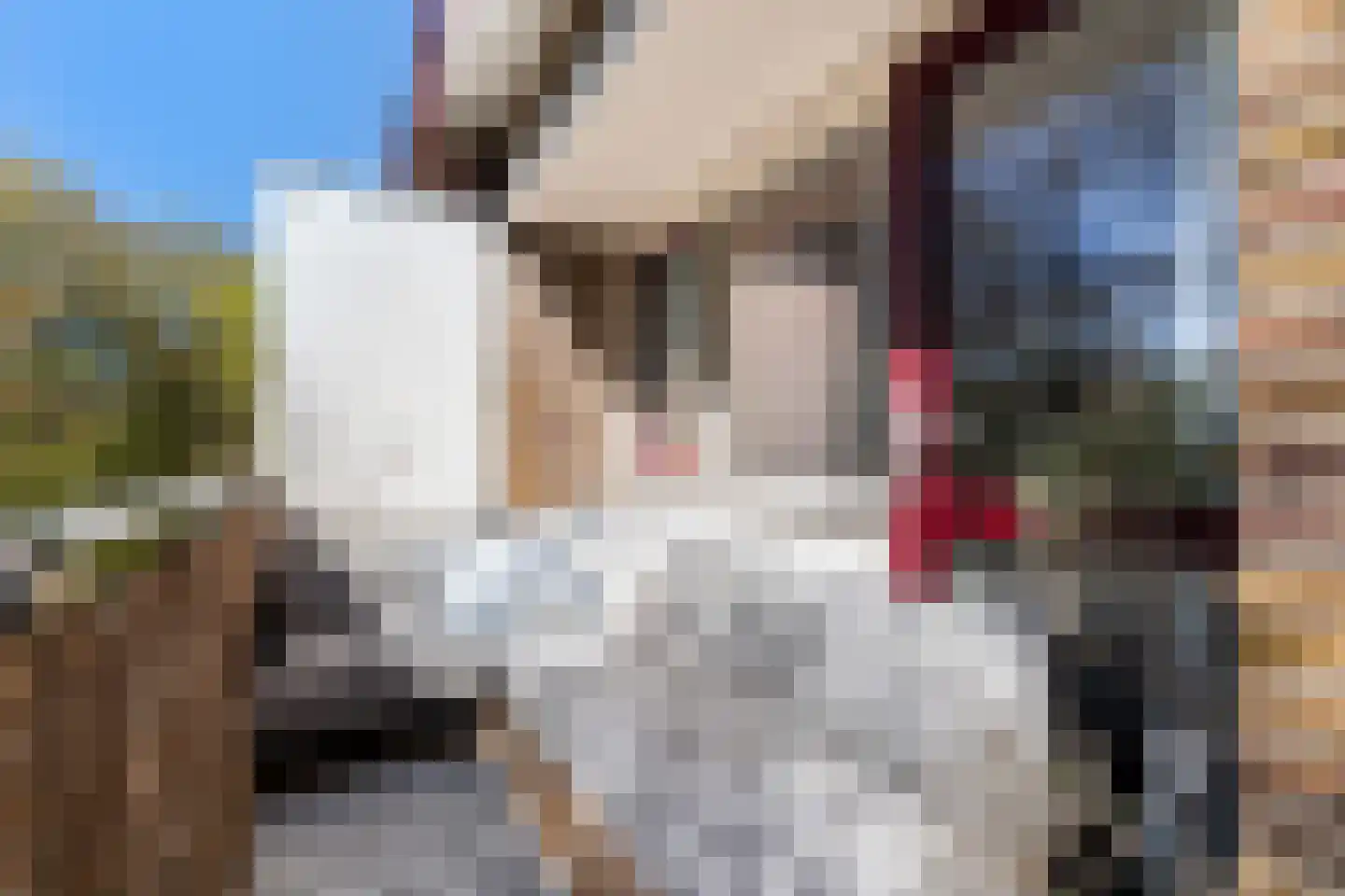 Arnoldus Stramroodlaan 17 Zeist thumbnail 18