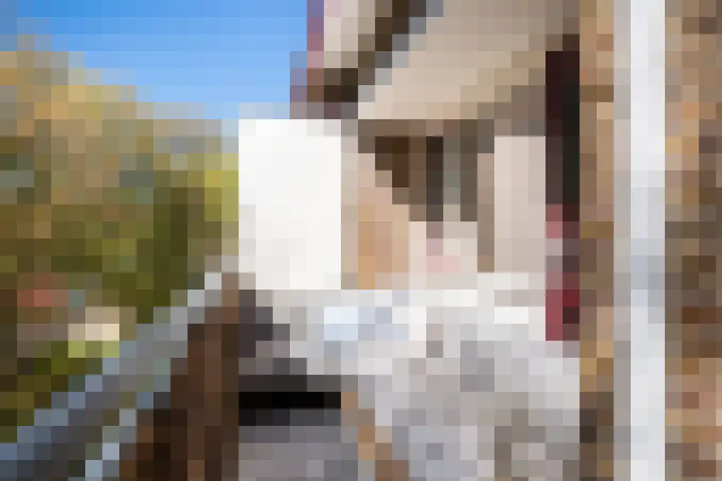 Arnoldus Stramroodlaan 17 Zeist thumbnail 19