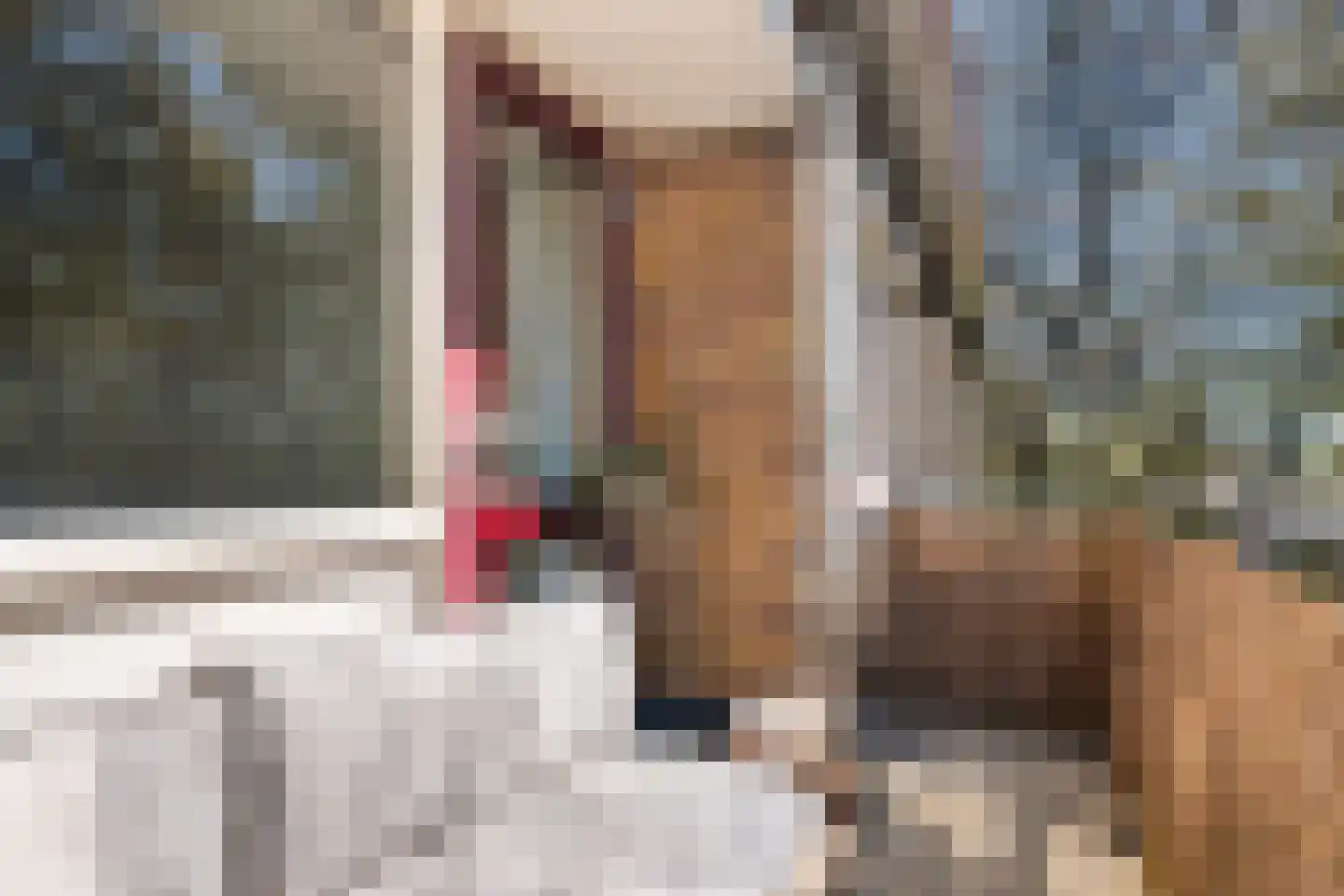 Arnoldus Stramroodlaan 17 Zeist thumbnail 21