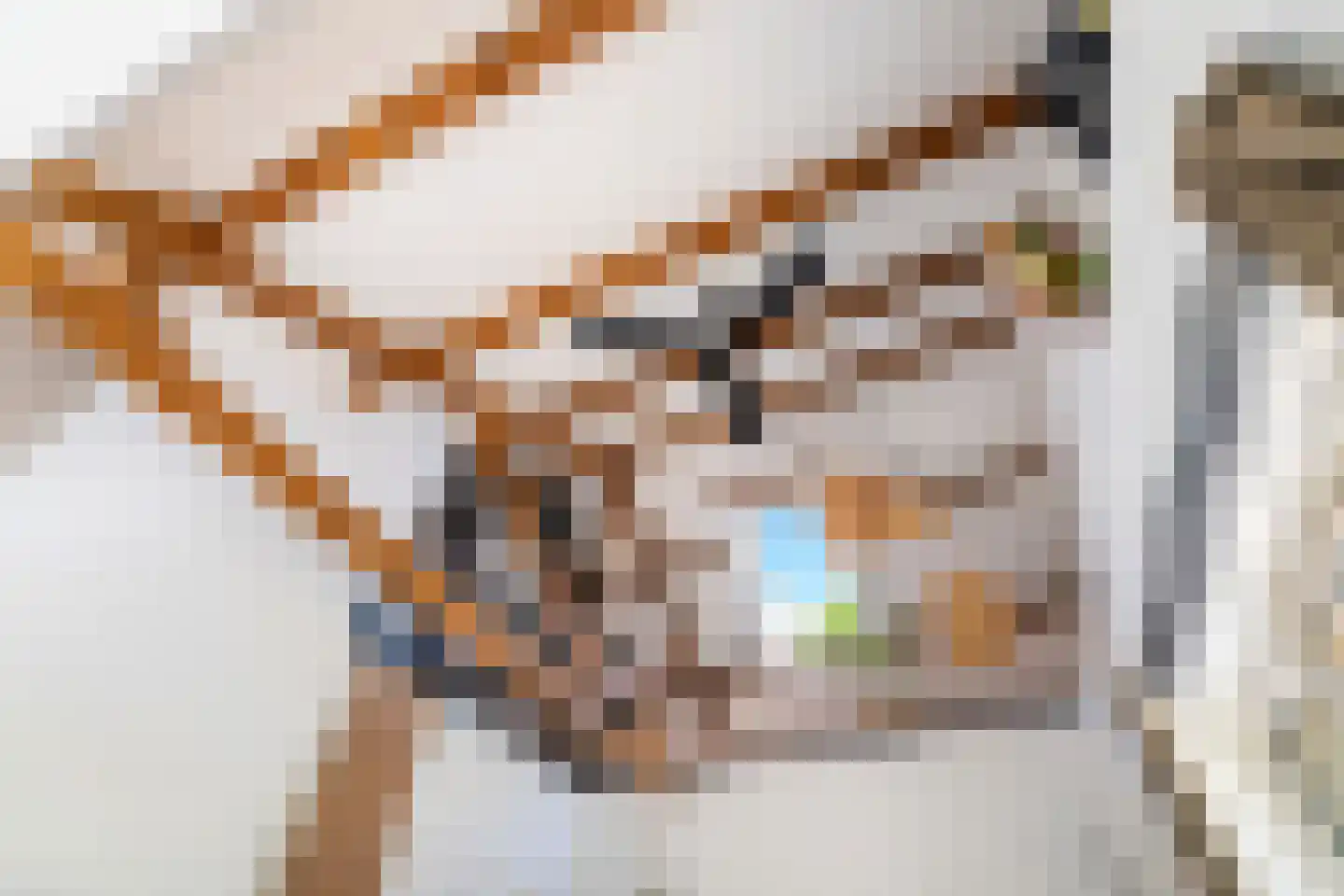 Arnoldus Stramroodlaan 17 Zeist thumbnail 33