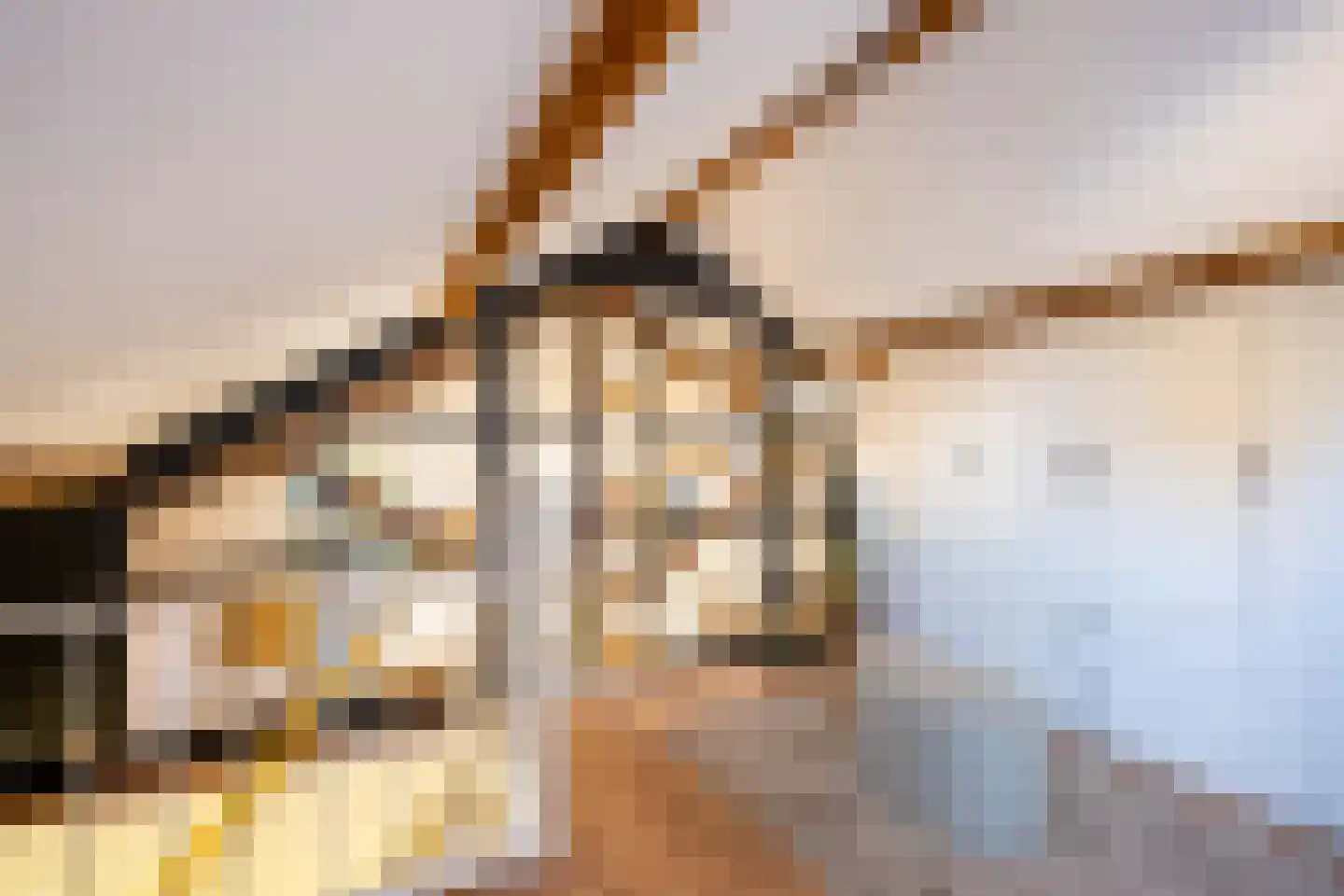 Arnoldus Stramroodlaan 17 Zeist thumbnail 34