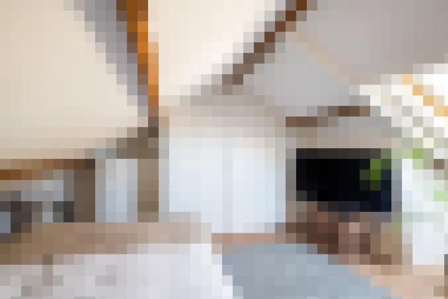Arnoldus Stramroodlaan 17 Zeist thumbnail 39