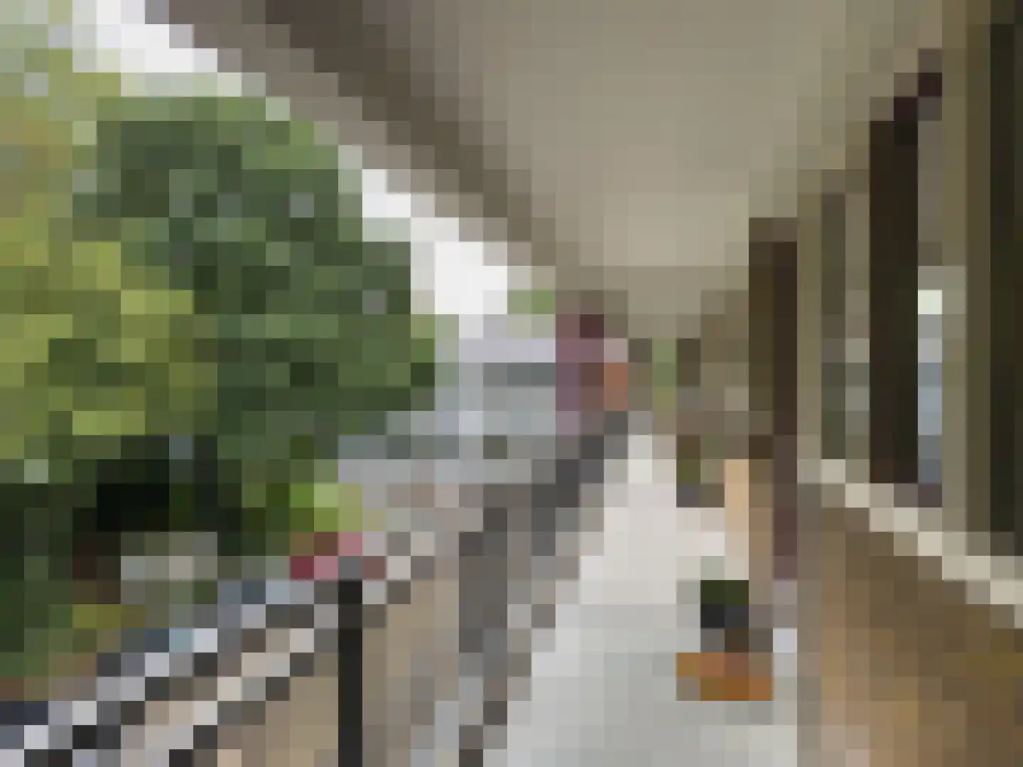 Arnoldus Stramroodlaan 21 Zeist thumbnail 21
