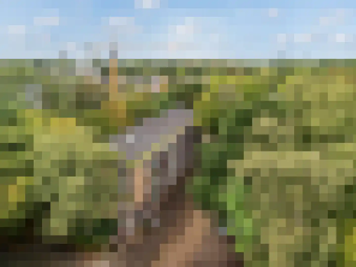 Arnoldus Stramroodlaan 21 Zeist thumbnail 25