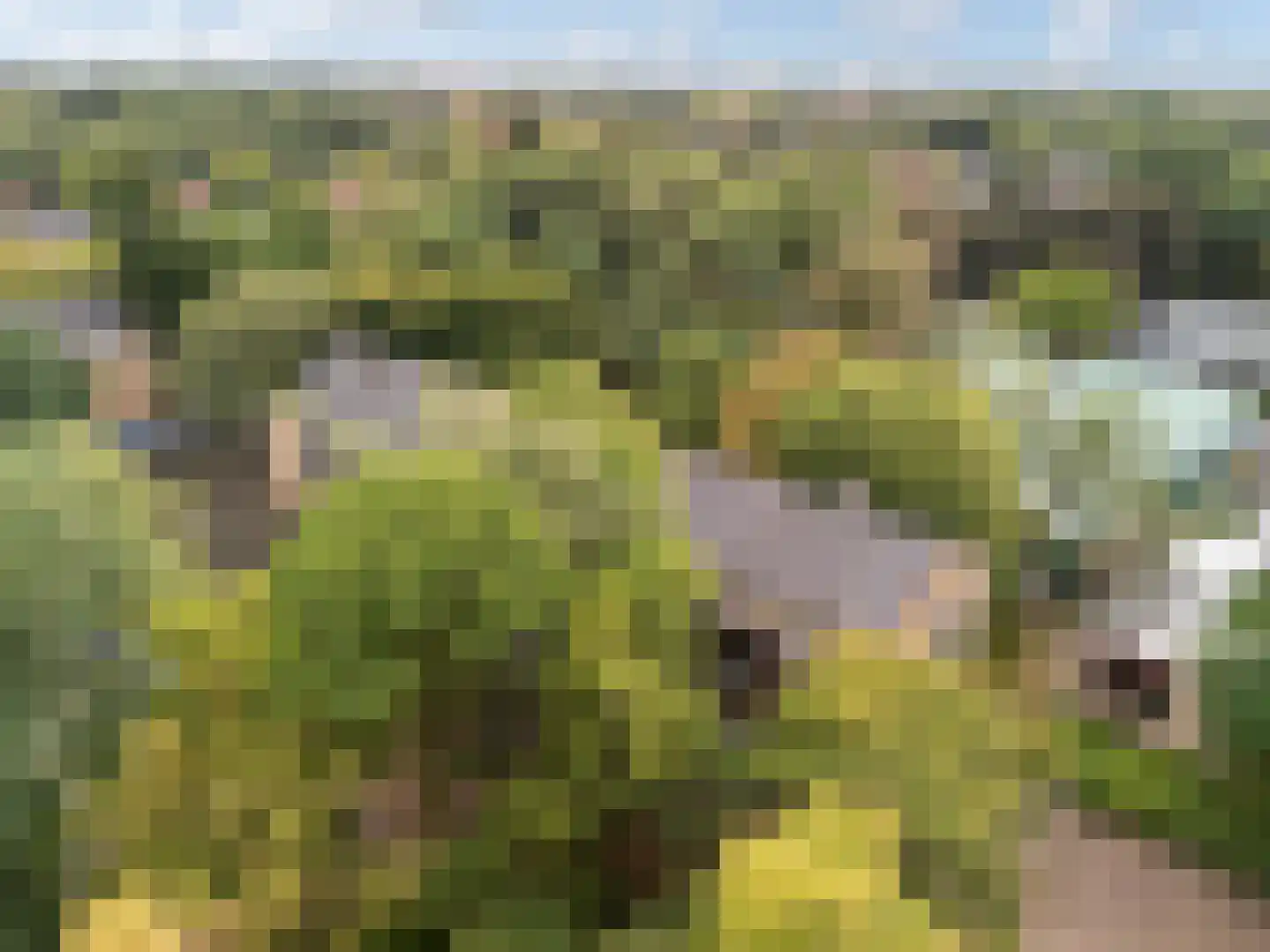 Arnoldus Stramroodlaan 21 Zeist thumbnail 26