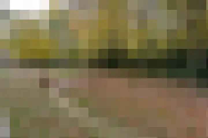 Arnoldus Stramroodlaan 31 Zeist thumbnail 17