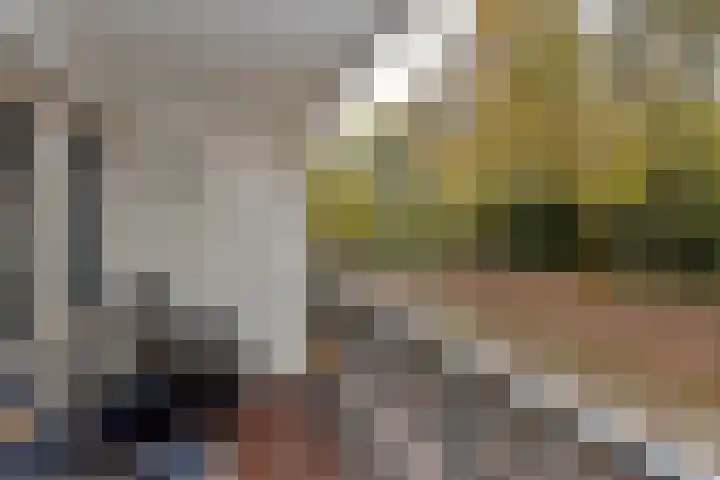 Arnoldus Stramroodlaan 31 Zeist thumbnail 18