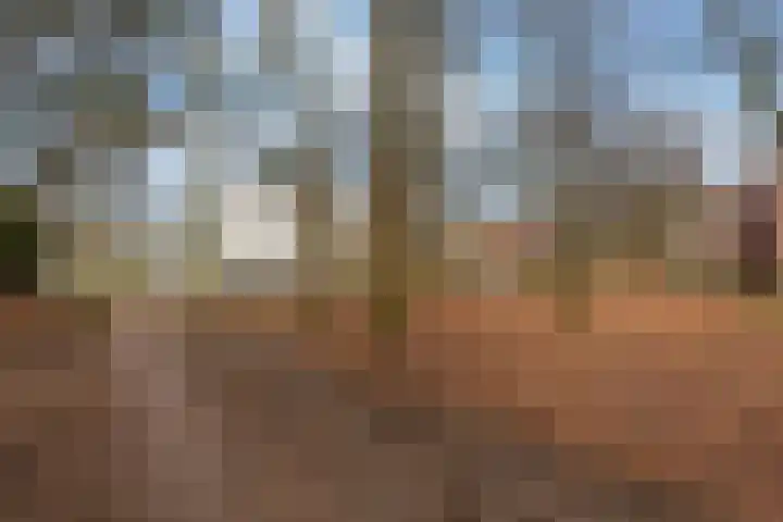 Arnoldus Stramroodlaan 31 Zeist thumbnail 22
