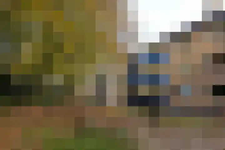 Arnoldus Stramroodlaan 31 Zeist thumbnail 8
