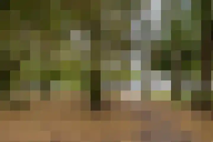 Arnoldus Stramroodlaan 31 Zeist thumbnail 9