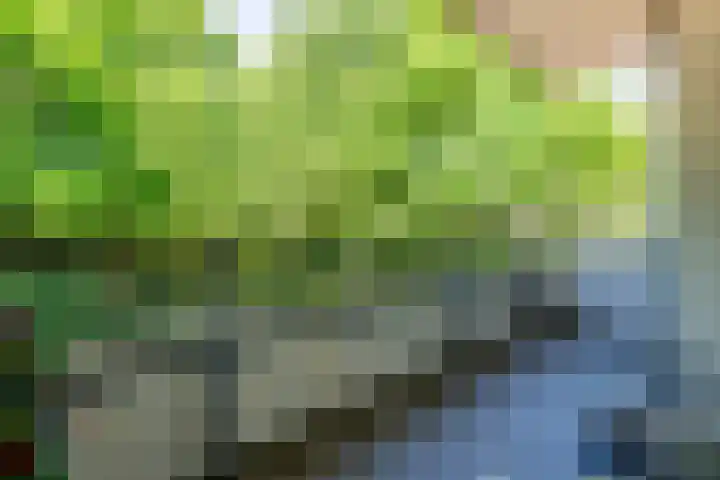 Arnoldus Stramroodlaan 39 Zeist thumbnail 13