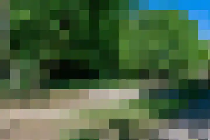 Arnoldus Stramroodlaan 39 Zeist thumbnail 16