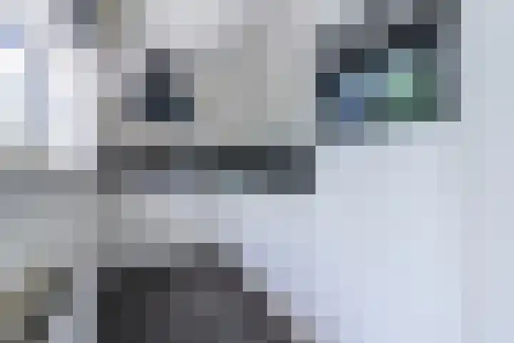 Arnoldus Stramroodlaan 39 Zeist thumbnail 8
