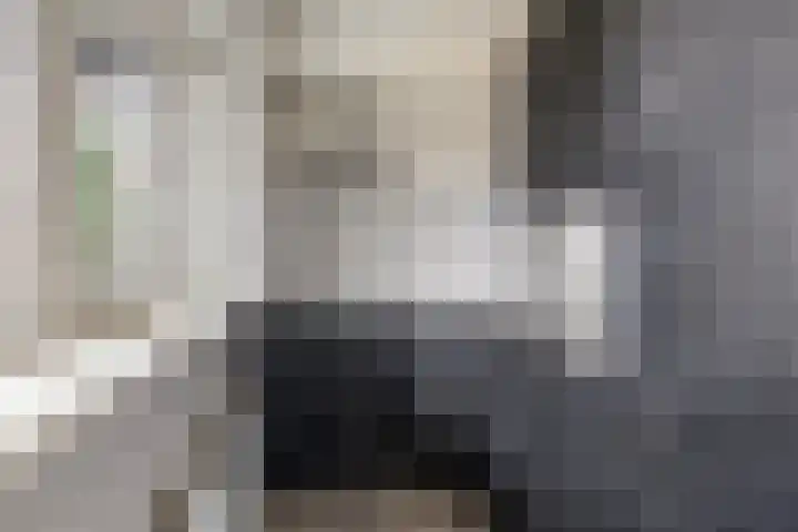 Arnoldus Stramroodlaan 47 Zeist thumbnail 9