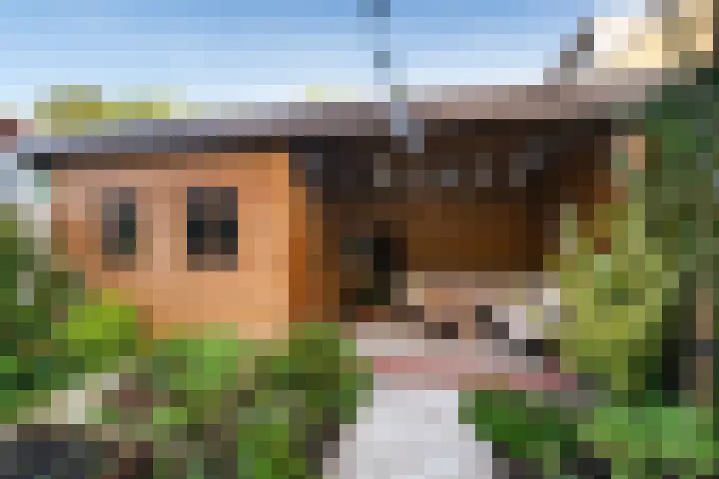 Arnoldus Verschurenstraat 1 a Waspik thumbnail 25