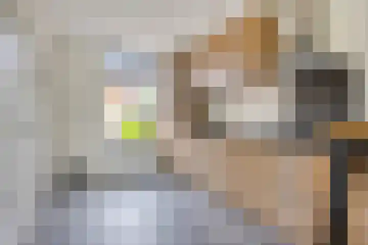 Arnoldus Verschurenstraat 15 Waspik thumbnail 15