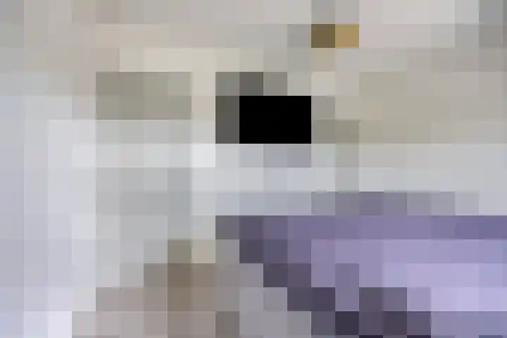Arnoldus Verschurenstraat 15 Waspik thumbnail 18
