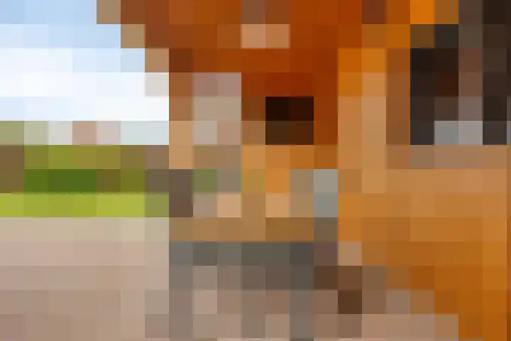 Arnoldus Verschurenstraat 15 Waspik thumbnail 27