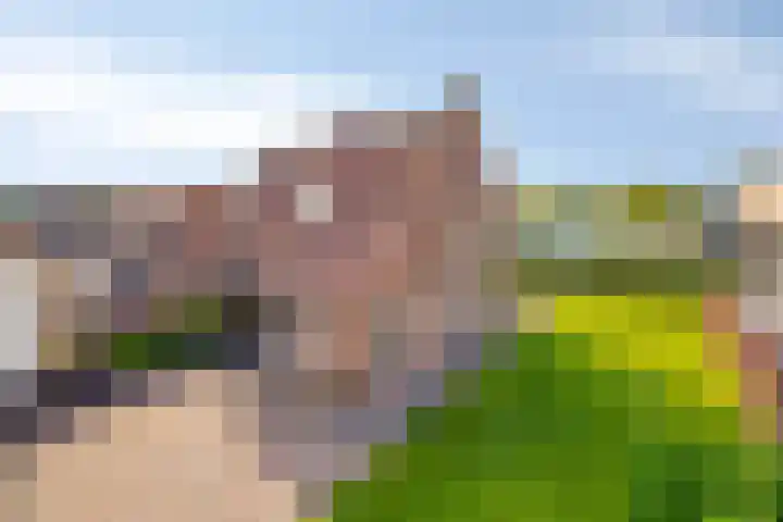 Arnoldus Verschurenstraat 15 Waspik thumbnail 28