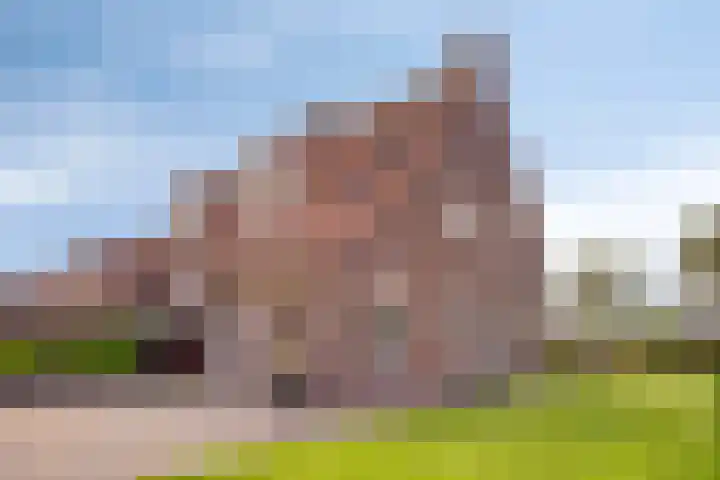 Arnoldus Verschurenstraat 15 Waspik thumbnail 29