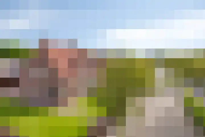 Arnoldus Verschurenstraat 15 Waspik thumbnail 7