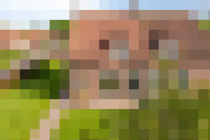 Arnoldus Verschurenstraat 15 Waspik thumbnail 8