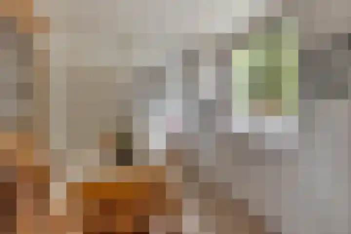 Arnoldus Verschurenstraat 46 Waspik thumbnail 17
