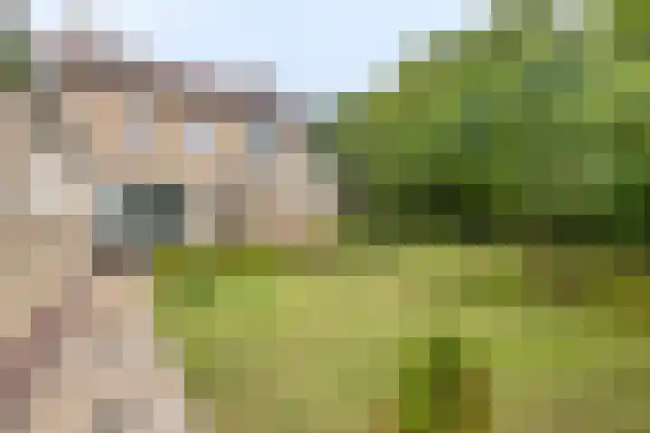Arnoldus Verschurenstraat 46 Waspik thumbnail 6