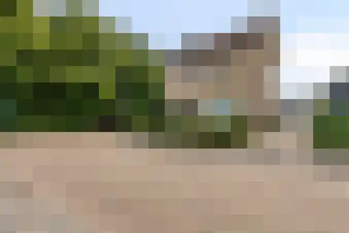 Arnoldus Verschurenstraat 46 Waspik thumbnail 7