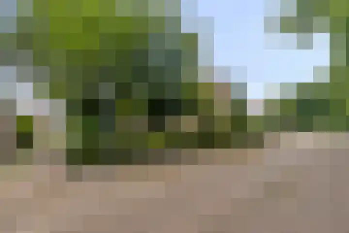Arnoldus Verschurenstraat 46 Waspik thumbnail 8