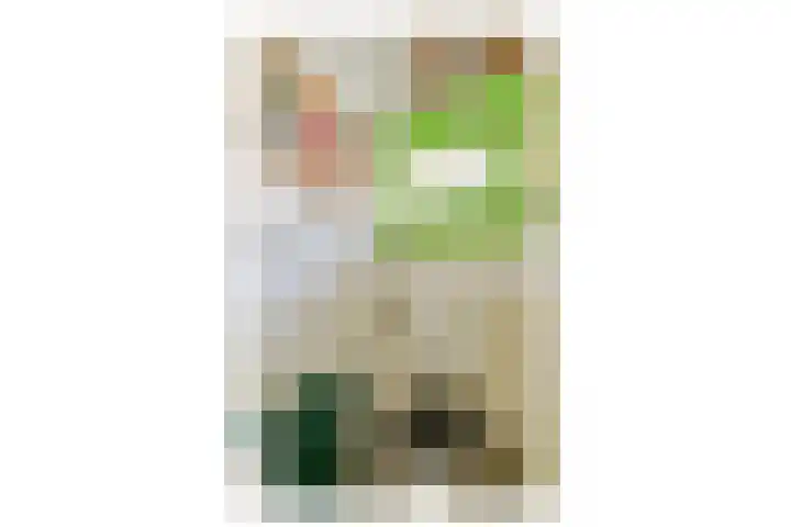 Arnoldystraat 1 Haarlem thumbnail 17