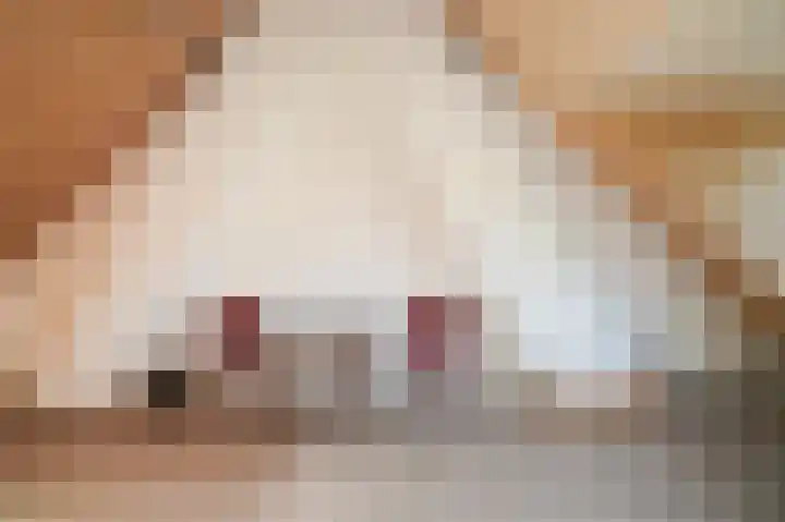 Arnoud van Gelderstraat 18 's-Hertogenbosch thumbnail 30