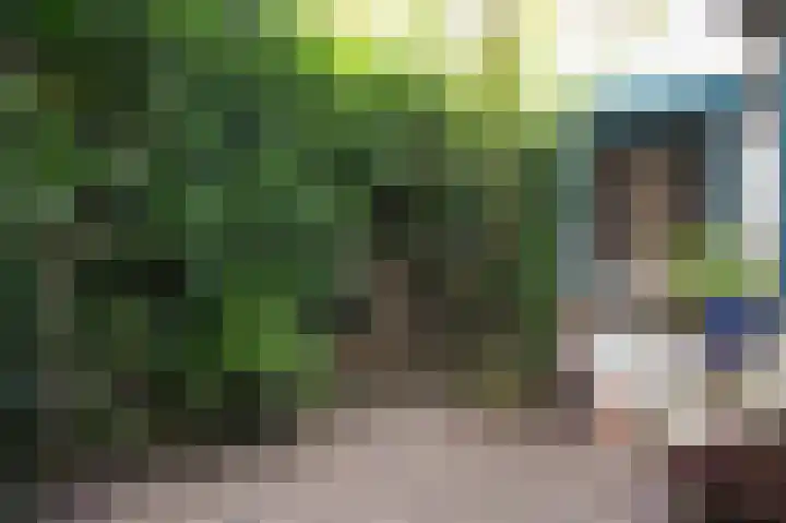 Arnoud van Gelderstraat 18 's-Hertogenbosch thumbnail 34