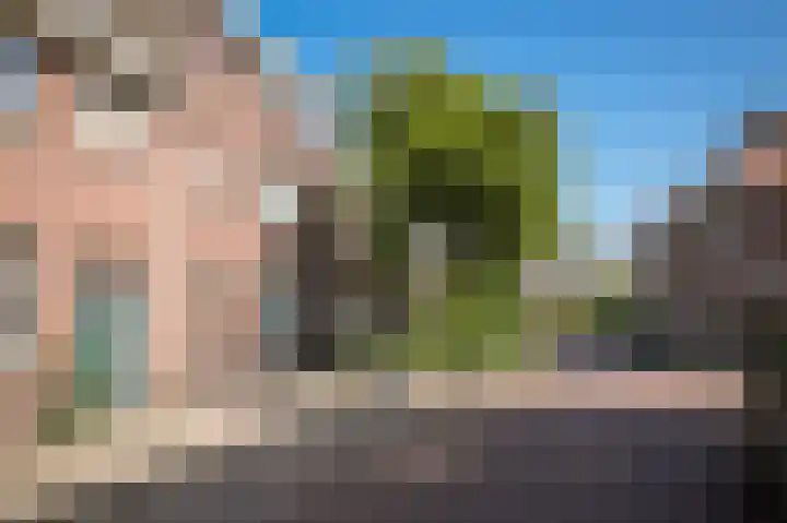 Arnoud van Gelderstraat 18 's-Hertogenbosch thumbnail 36