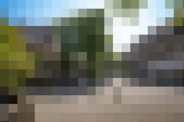 Arnoud van Gelderstraat 18 's-Hertogenbosch thumbnail 37