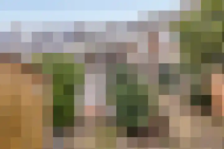 Arnoud van Gelderstraat 22 's-Hertogenbosch thumbnail 12