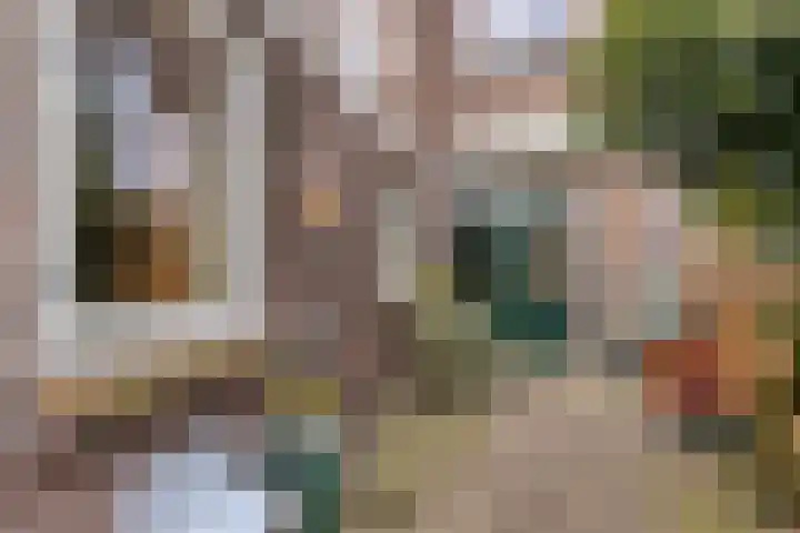 Arnoud van Gelderstraat 22 's-Hertogenbosch thumbnail 14