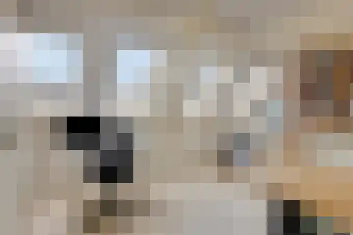 Arnoud van Gelderstraat 22 's-Hertogenbosch thumbnail 24