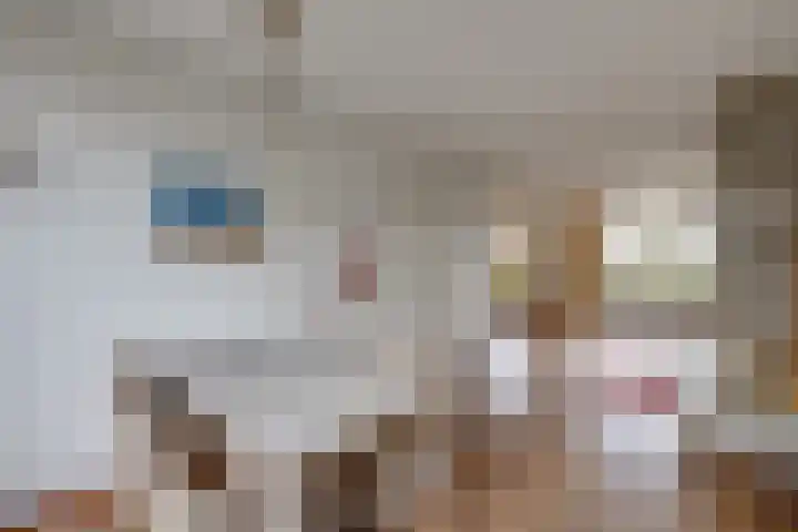 Arnoutlaan 10 Hoeven thumbnail 10