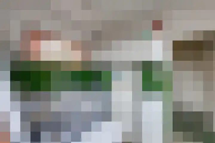 Arnoutlaan 10 Hoeven thumbnail 12