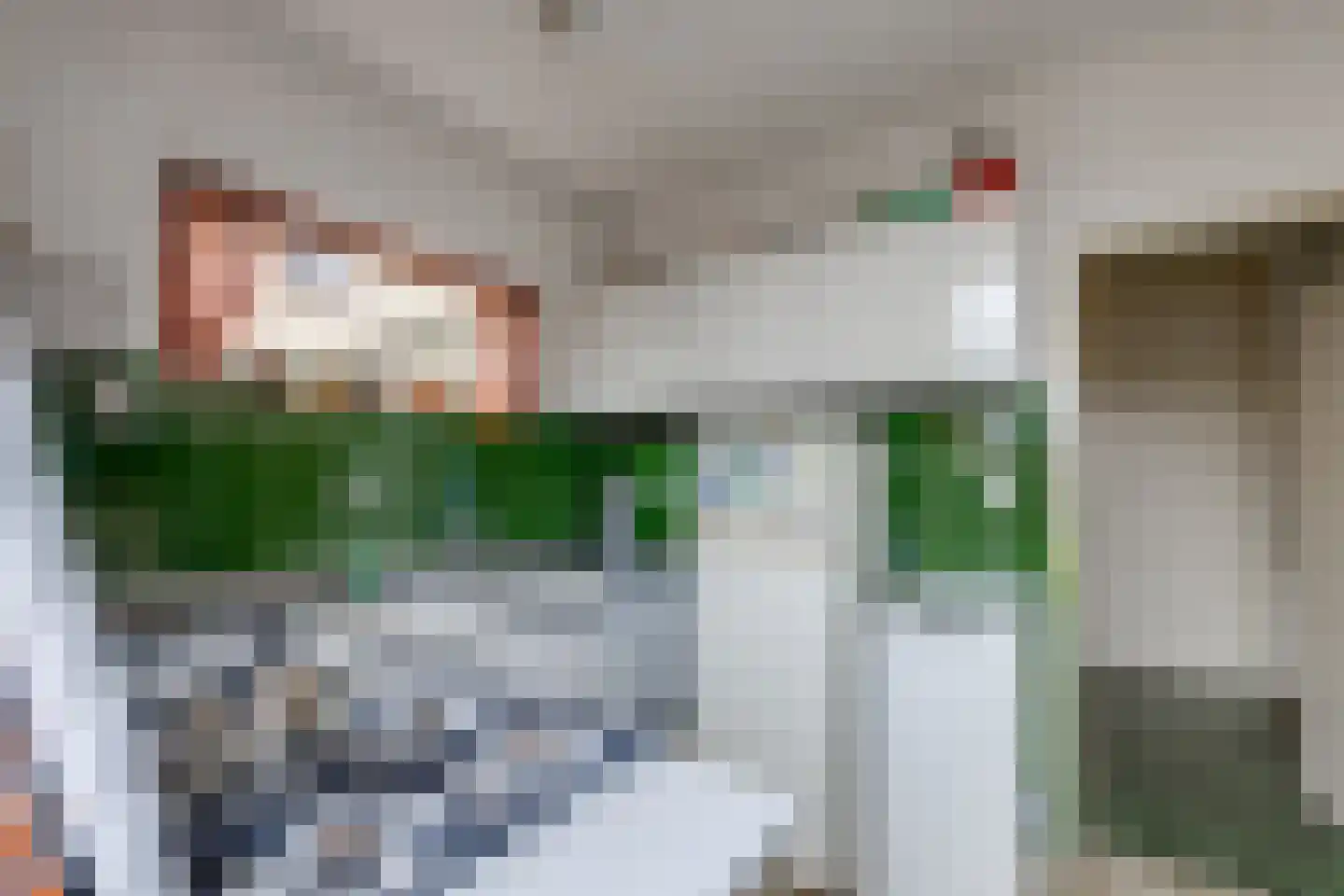 Arnoutlaan 10 Hoeven thumbnail 12