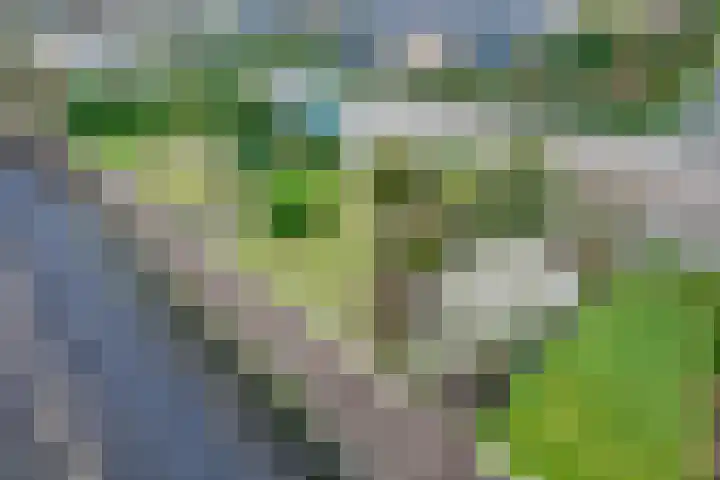 Arnoutlaan 10 Hoeven thumbnail 15