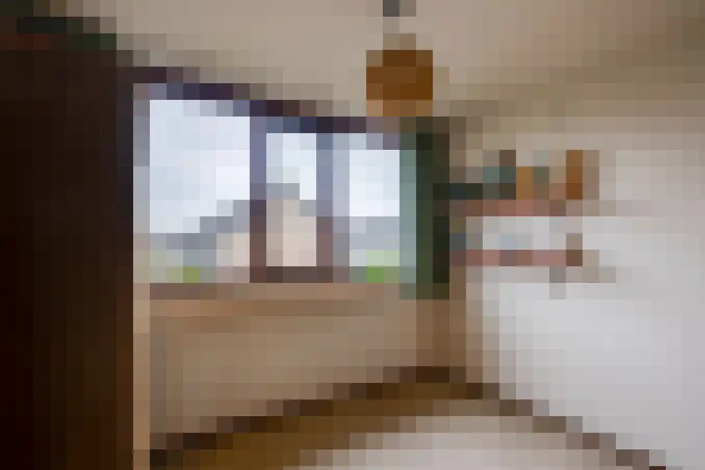 Arnoutlaan 10 Hoeven thumbnail 21